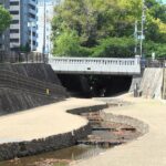 Thumbnail of post image 082